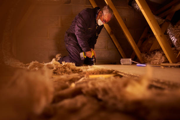 Best Geographic-Specific Insulation Services in Malvern, OH